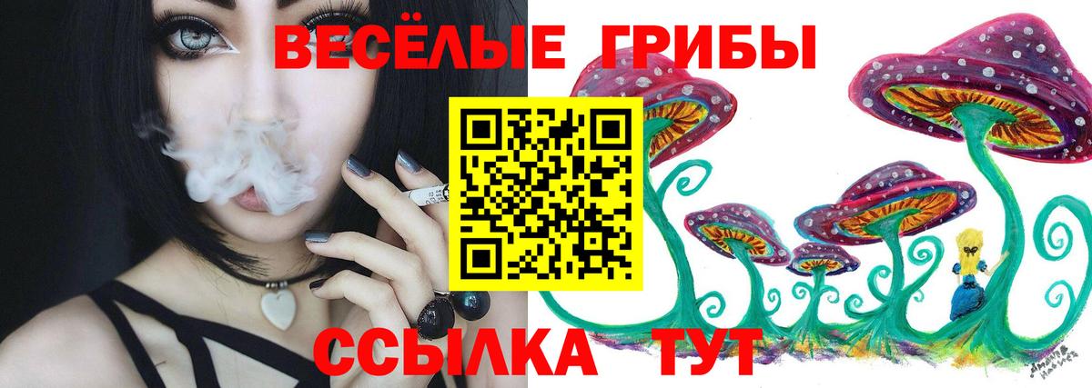 Псилоцибиновые грибы Psilocybine cubensis Псков