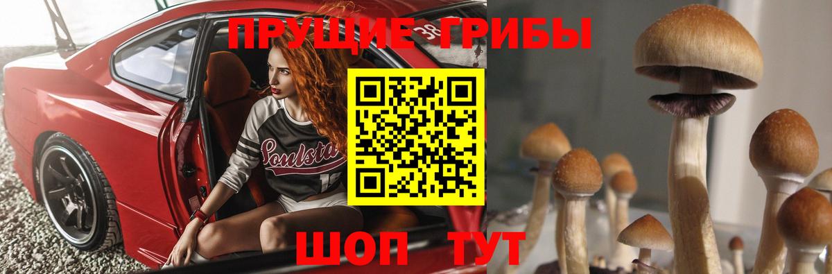 где купить наркоту  Вход с VPN  Псков  Псилоцибиновые грибы ЛСД 